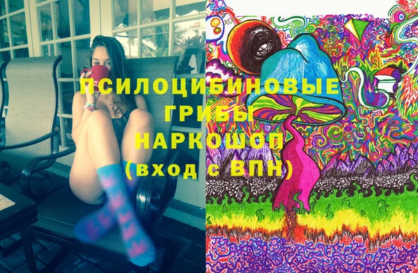 стаф Богородицк