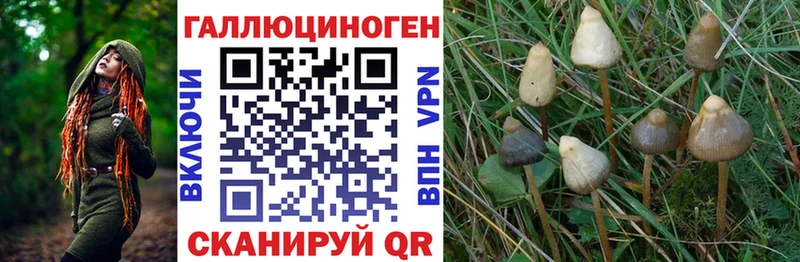 Псилоцибиновые грибы мицелий  Купить где  Верещагино 
